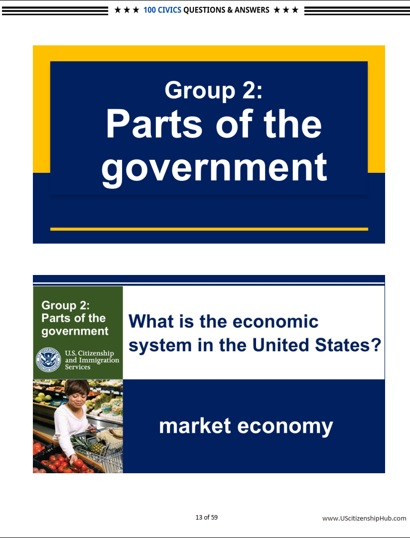 100 Civics Questions (By 9 Groups– Beautiful Design)