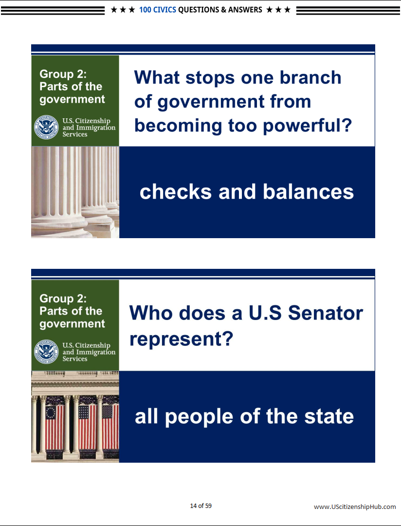100 Civics Questions (By 9 Groups– Beautiful Design)